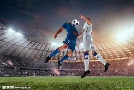 政和发现八,闽未知鸟种,颠覆学界鸟,千亿体育官网,APP下载,注册领彩金,官方网站,网站入口