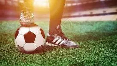 大衛·馬紹爾將參與蘇格蘭緊急援助，並對2025歐洲杯新風格充滿期待